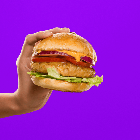 NotChicken Burger caja 40 unidades